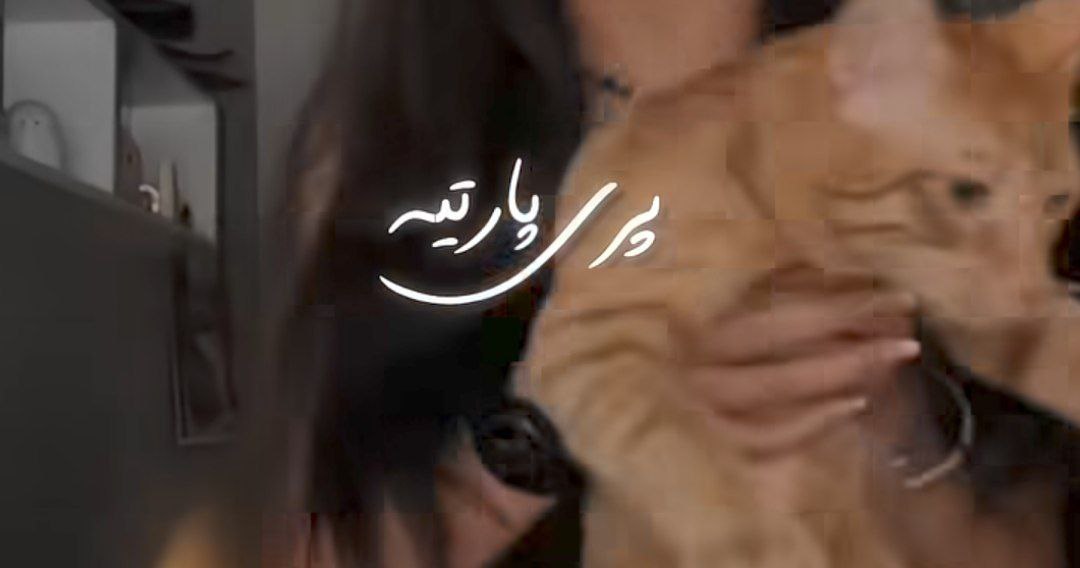 همه چی قروقاطیه پری پارتیه شما دافتون باربیه